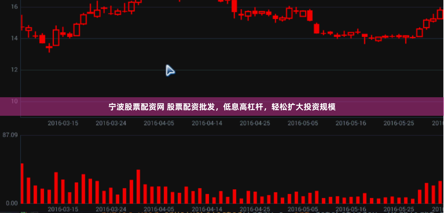 宁波股票配资网 股票配资批发，低息高杠杆，轻松扩大投资规模