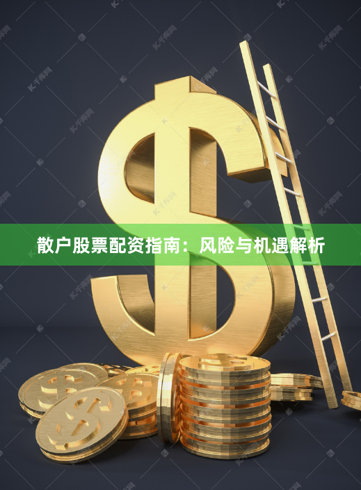 散户股票配资指南：风险与机遇解析
